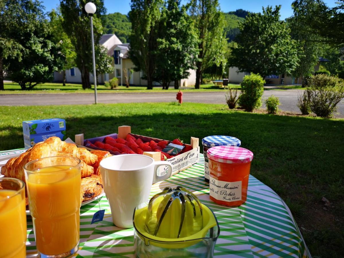 La Maison Bleue, Village Vacances, Piscine, Parking Saint-Geniez-dʼOlt Eksteriør billede