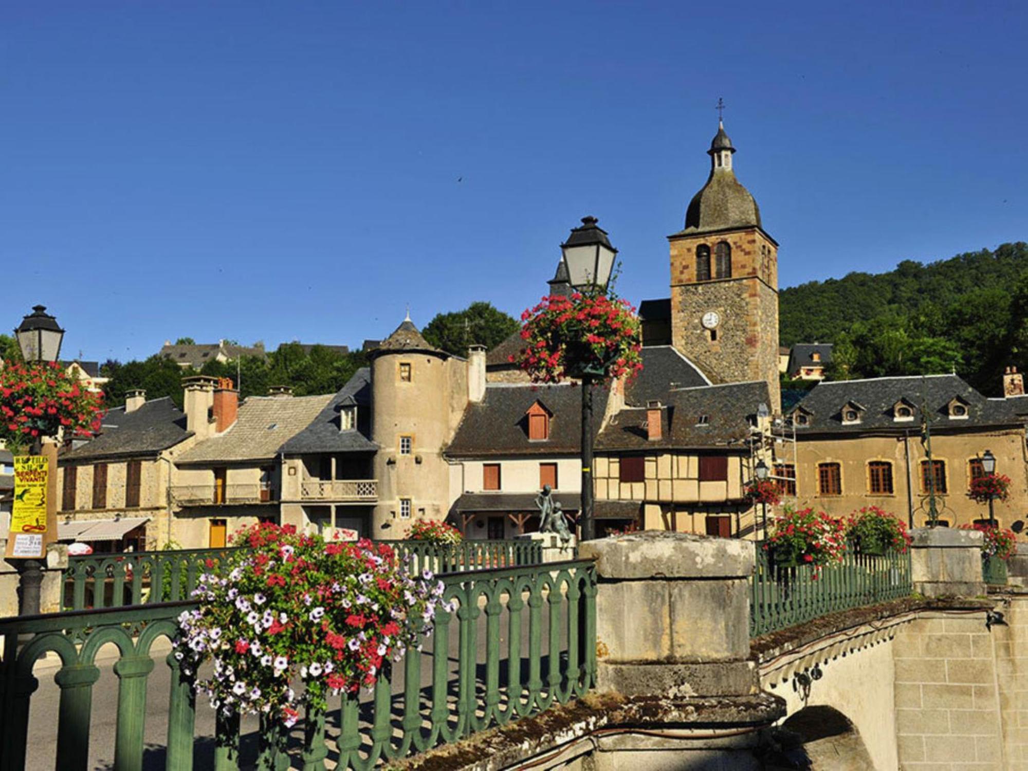 La Maison Bleue, Village Vacances, Piscine, Parking Saint-Geniez-dʼOlt Eksteriør billede