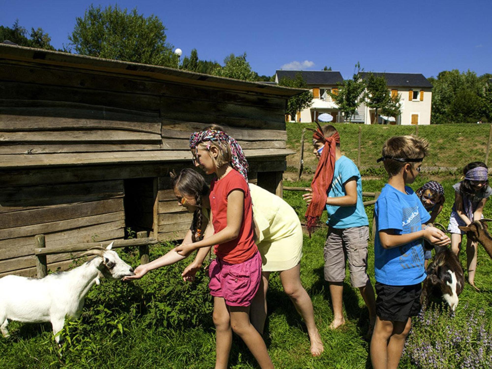 La Maison Bleue, Village Vacances, Piscine, Parking Saint-Geniez-dʼOlt Eksteriør billede